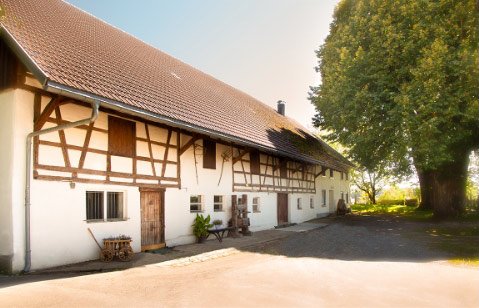 Der Lindenhof in Vogt im Allgäu hat ein wunderschönes, altes Fachwerk. Zwei große Lindenbäume stehen auf dem Vorplatz