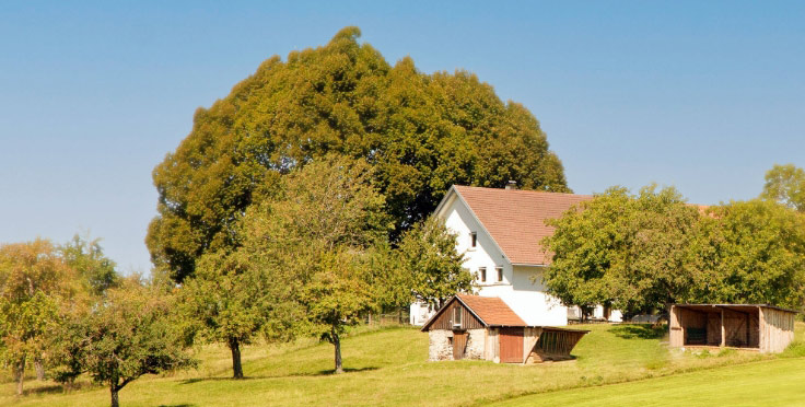 Der Seminarort Lindenhof liegt in wunderschöner Alleinlage auf einem Hügel im Allgäu.